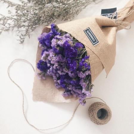 13529231_965387030236525_3853160941929234995_n