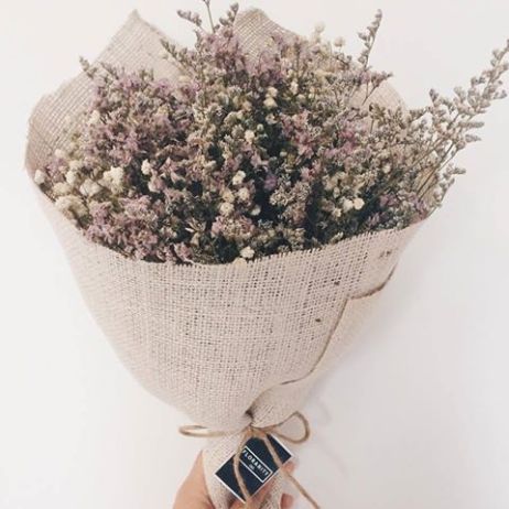 21462828_1340207116087846_7175524366314325009_n