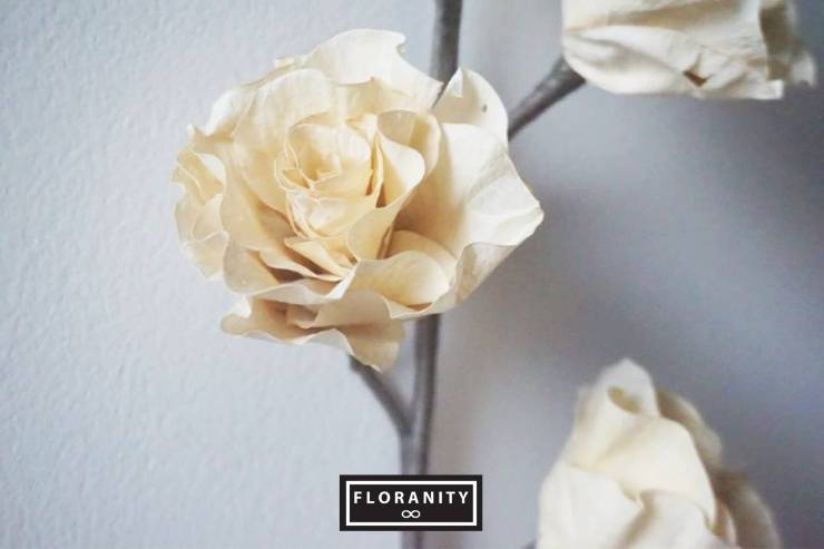 FLORANITY, Flower Gifts, Online boutique, Online flower shop, dry flowers, drying flowers, flower shop, flowers, bouquet, valentine, valentine flower, birthday flowers, congratulations, wedding, wedding flowers, Wholesale Florist, Wholesale Flowers, Wholesale Dry flower, ดอกไม้, ดอกไม้แห้ง, ดอกไม้สด, ร้านดอกไม้, ช่อดอกไม้, ช่อดอกไม้สด, ช่อดอกไม้แห้ง, ดอกไม้วาเลนไทน, วาเลนไทน, วันเกิด, ของขวัญ, ของขวัญวันเกิด, รับปริญญา, ของขวัญรับปริญญา, ดอกไม้รับปริญญา, ดอกไม้เจ้าสาว, ดอกไม้งานแต่ง , บริการส่ง, ขายส่งดอกไม้