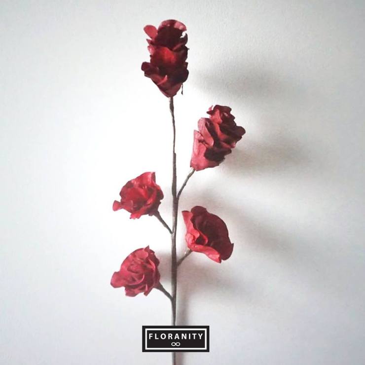 FLORANITY, Flower Gifts, Online boutique, Online flower shop, dry flowers, drying flowers, flower shop, flowers, bouquet, valentine, valentine flower, birthday flowers, congratulations, wedding, wedding flowers, Wholesale Florist, Wholesale Flowers, Wholesale Dry flower, ดอกไม้, ดอกไม้แห้ง, ดอกไม้สด, ร้านดอกไม้, ช่อดอกไม้, ช่อดอกไม้สด, ช่อดอกไม้แห้ง, ดอกไม้วาเลนไทน, วาเลนไทน, วันเกิด, ของขวัญ, ของขวัญวันเกิด, รับปริญญา, ของขวัญรับปริญญา, ดอกไม้รับปริญญา, ดอกไม้เจ้าสาว, ดอกไม้งานแต่ง , บริการส่ง, ขายส่งดอกไม้