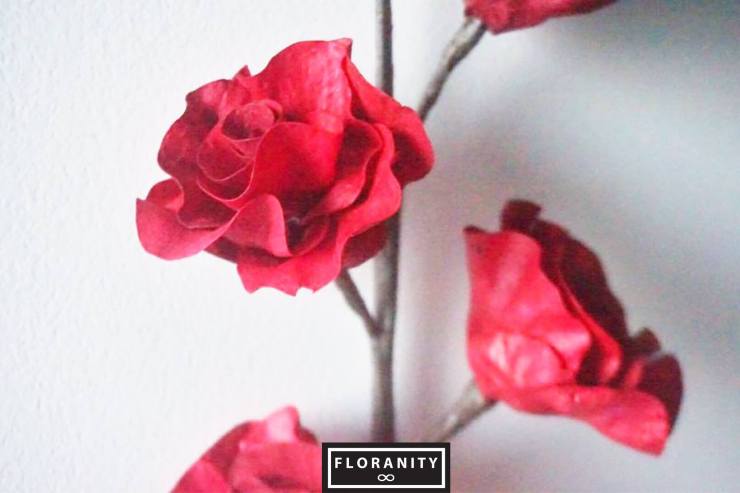 FLORANITY, Flower Gifts, Online boutique, Online flower shop, dry flowers, drying flowers, flower shop, flowers, bouquet, valentine, valentine flower, birthday flowers, congratulations, wedding, wedding flowers, Wholesale Florist, Wholesale Flowers, Wholesale Dry flower, ดอกไม้, ดอกไม้แห้ง, ดอกไม้สด, ร้านดอกไม้, ช่อดอกไม้, ช่อดอกไม้สด, ช่อดอกไม้แห้ง, ดอกไม้วาเลนไทน, วาเลนไทน, วันเกิด, ของขวัญ, ของขวัญวันเกิด, รับปริญญา, ของขวัญรับปริญญา, ดอกไม้รับปริญญา, ดอกไม้เจ้าสาว, ดอกไม้งานแต่ง , บริการส่ง, ขายส่งดอกไม้